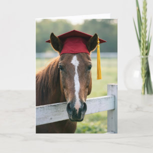 Pferd mit roter Abschlussmütze Karte