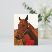 Pferd mit roter Schleife Postkarte (Stehend Vorderseite)