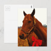 Pferd mit roter Schleife Postkarte (Vorne/Hinten)