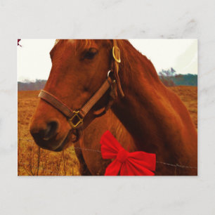 Pferd mit roter Schleife Postkarte