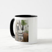 Pferd mit Scheuklappen Tasse (Vorderseite Links)