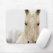 Pferd mit Schnee auf dem Kopf Mousepad (Mit Mouse)