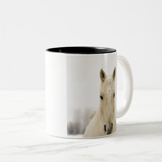 Pferd mit Schnee auf Kopf Zweifarbige Tasse (VorderseiteRechts)