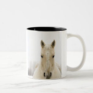 Pferd mit Schnee auf Kopf Zweifarbige Tasse