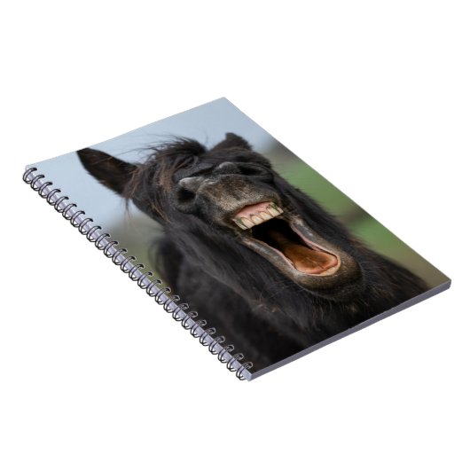 Pferd mit seinen Zähnen Notizblock (Rechte Seite)