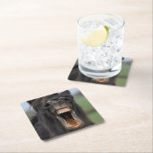 Pferd mit seinen Zähnen Rechteckiger Pappuntersetzer (Vor Ort)