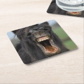 Pferd mit seinen Zähnen Rechteckiger Pappuntersetzer (angewinkelt)