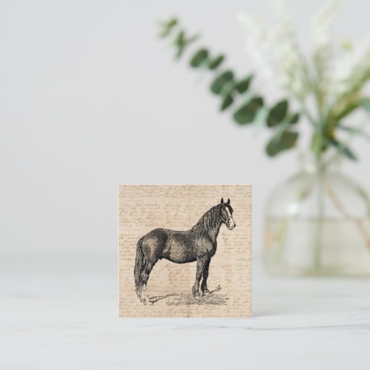 Pferd mit Skriptpapier Begleitkarte (Stehend Vorderseite)