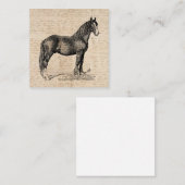 Pferd mit Skriptpapier Begleitkarte (Vorne/Hinten)