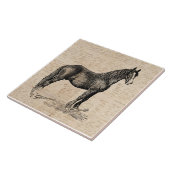 Pferd mit Skriptpapier Fliese (Seite)