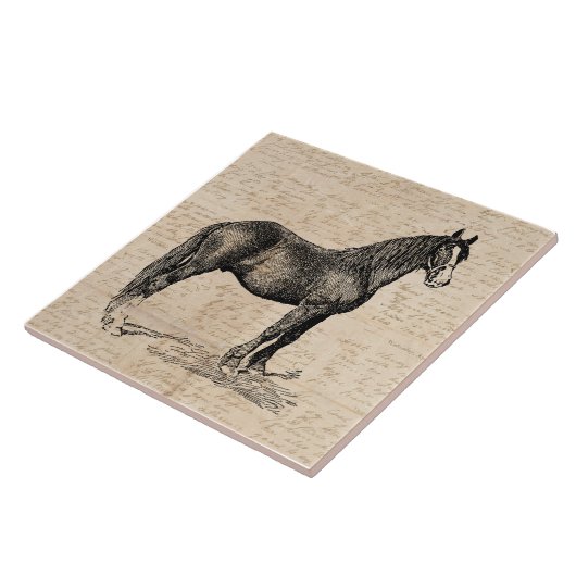 Pferd mit Skriptpapier Fliese (Seite)