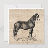 Pferd mit Skriptpapier Mitteilungskarte (Rückseite)