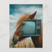 Pferd mit Vintagem TV-Gesicht Postkarte (Vorderseite)