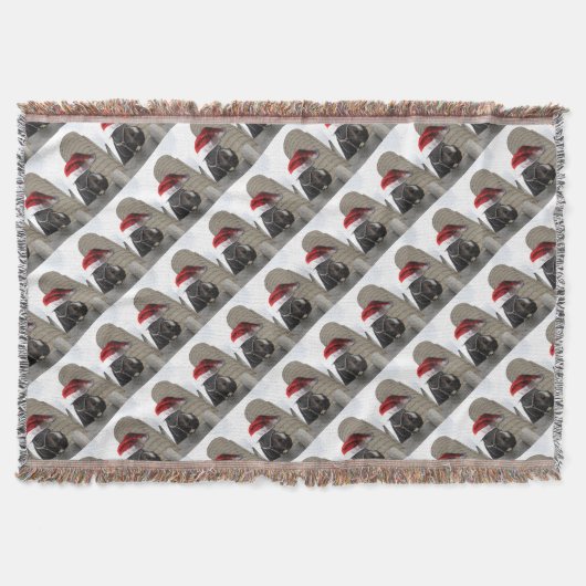 Pferd mit Weihnachtsmannmütze Decke (Vorderseite)