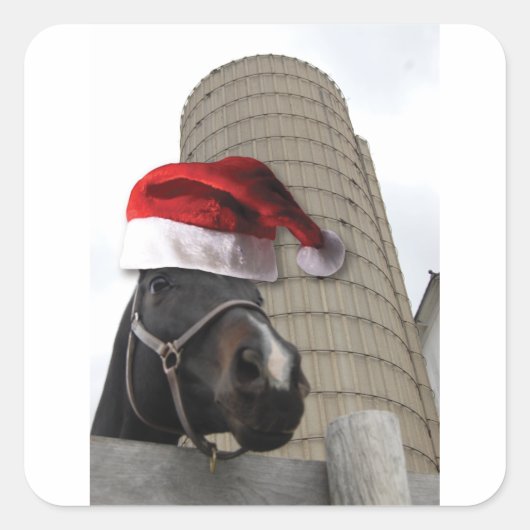 Pferd mit Weihnachtsmannmütze Quadratischer Aufkleber (Vorderseite)