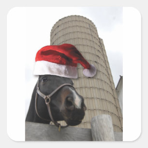 Pferd mit Weihnachtsmannmütze Quadratischer Aufkleber