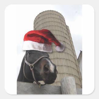 Pferd mit Weihnachtsmannmütze Quadratischer Aufkleber