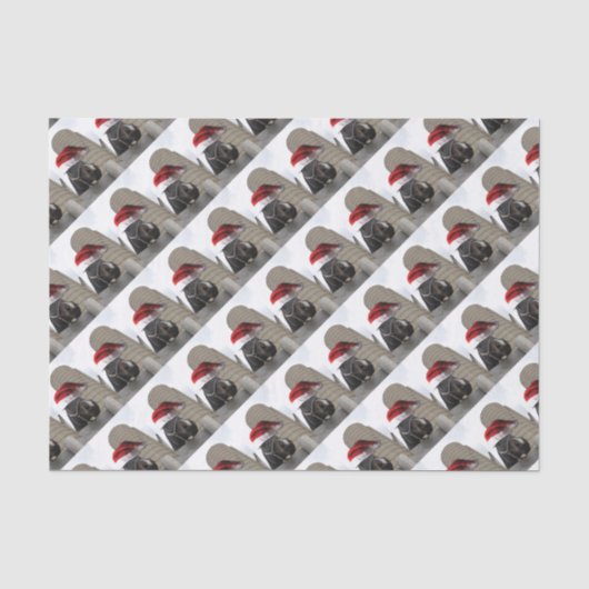 Pferd mit Weihnachtsmannmütze Seidenpapier (Vorderseite)