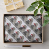 Pferd mit Weihnachtsmannmütze Seidenpapier (Geschenk)