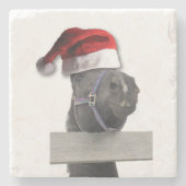 Pferd mit Weihnachtsmannmütze Steinuntersetzer (Vorderseite)