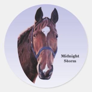 Pferd mit White Star (Text ändern) Runder Aufkleber