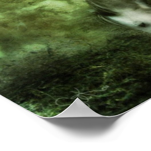 Pferd mit zwei Flügeln Poster (Ecke)