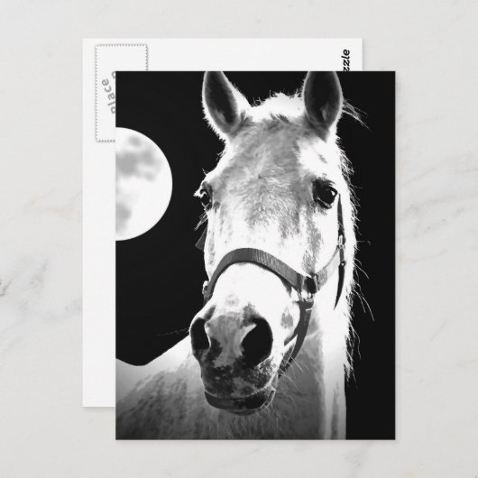 Pferd & Mond Postkarte (Vorne/Hinten)