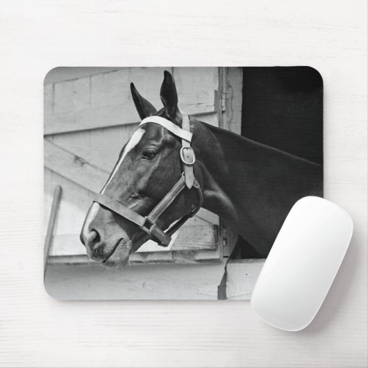 Pferd Mousepad (Mit Mouse)