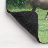 Pferd Mousepad (Ecke)