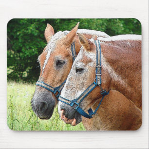 Pferd Mousepad