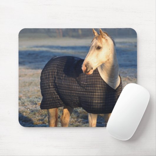 Pferd Mousepad (Mit Mouse)