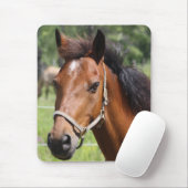 Pferd Mousepad (Mit Mouse)