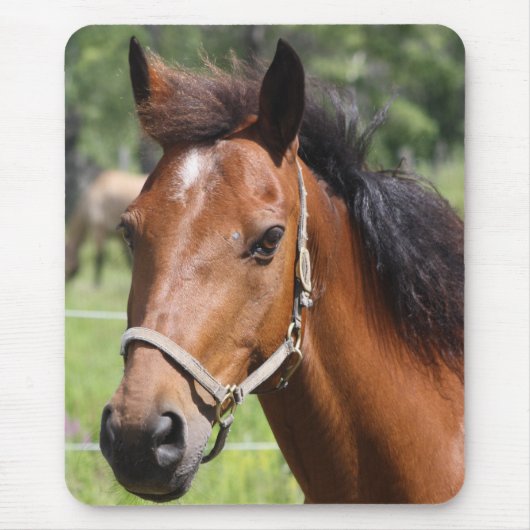 Pferd Mousepad (Vorne)
