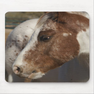 Pferd Mousepad