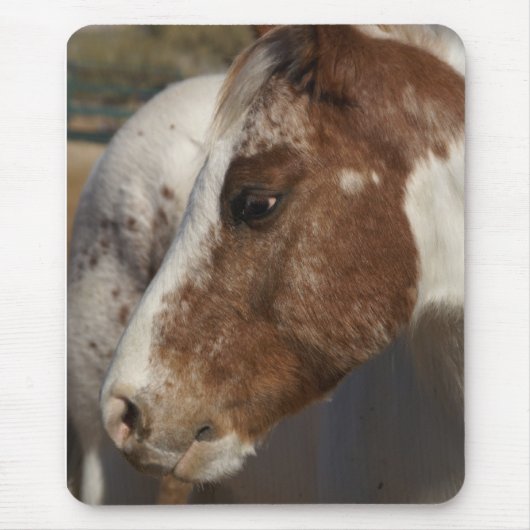 Pferd Mousepad (Vorne)