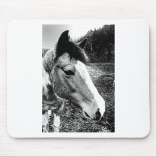 Pferd Mousepad