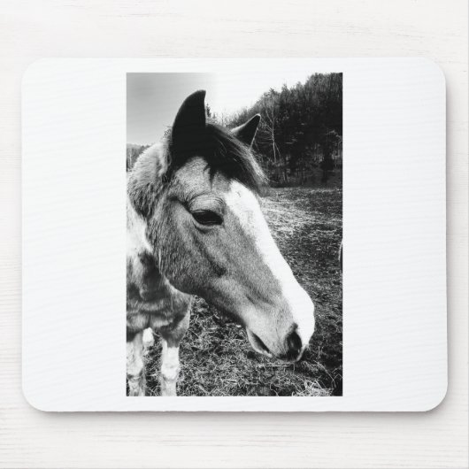 Pferd Mousepad (Vorne)