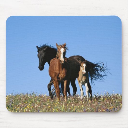 Pferd Mousepad (Vorne)