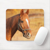 Pferd Mousepad (Mit Mouse)