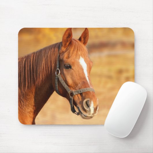 Pferd Mousepad (Mit Mouse)