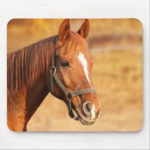 Pferd Mousepad
