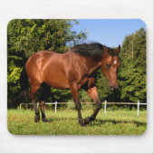 Pferd Mousepad (Vorne)