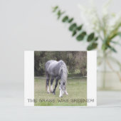 Pferd 'n Zaun! Postkarte (Stehend Vorderseite)