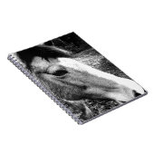 Pferd Notizblock (Rechte Seite)