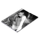 Pferd Notizblock (Linke Seite)