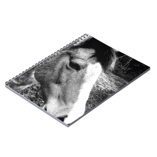 Pferd Notizblock (Linke Seite)