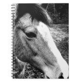 Pferd Notizblock (Vorderseite)