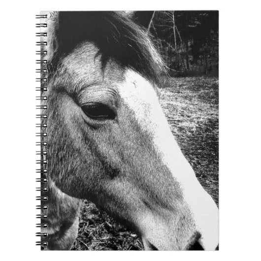 Pferd Notizblock (Vorderseite)