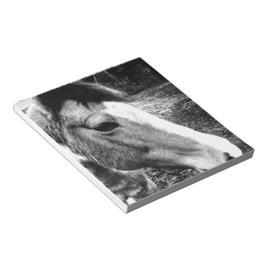 Pferd Notizblock (angewinkelt)