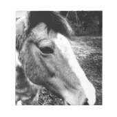 Pferd Notizblock (Vorderseite)